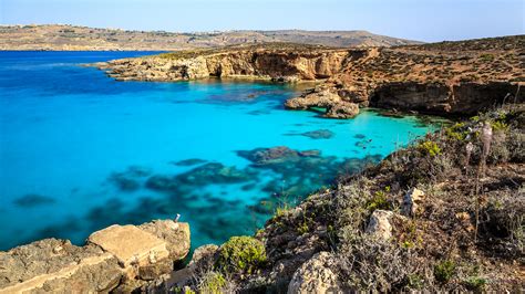 how to get to blue lagoon malta|blue lagoon malta pictures.